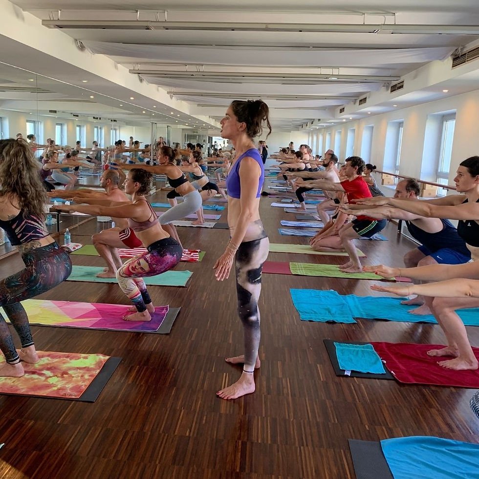 Yoga College Vienna - das erste moderne Yogastudios Wiens
