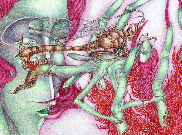 The Place Where Dragonfly Rests