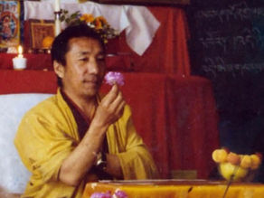 薩嘎達瓦ས་ག་ཟླ་བ功德月🌺累積功德第二波