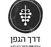 דרך הגפן.jpg