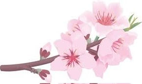 2024年3月1日金曜日「さぁ、春🌸ですよ」♯905