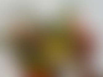 2022年3月20日月曜日「オレンジ🧡」#358