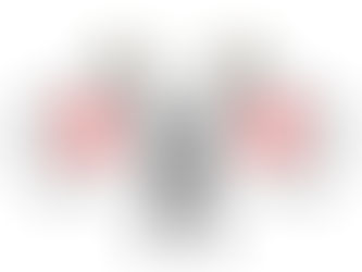 2025年2月11日火曜日「祝日㊗️」#1253