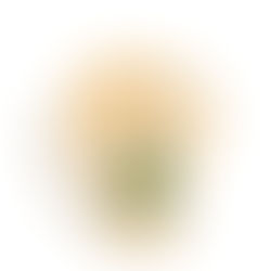 2023年3月9日木曜日「なごみ」#347