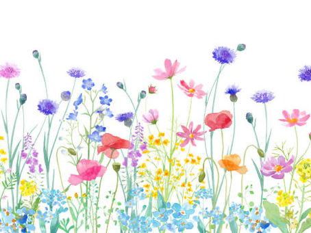 2024年2月18日日曜日「こんな日もあるさ」♯894