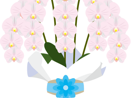 2022年5月4日水曜日「胡蝶蘭」