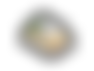 2022年10月20日木曜日「いつまでも勉強」