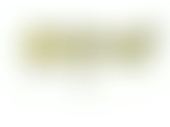 2024年11月19日火曜日「タイミング👌」#1169