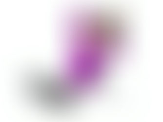 2025年3月26日水曜日「消えました、、、」#1296