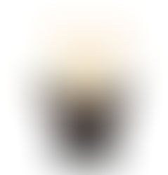 2024年6月8日土曜日「思い浮かべるもの」♯1005