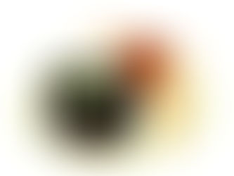 2024年1月9日火曜日「成長」♯854