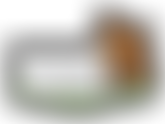 2022年8月2日火曜日「不思議」