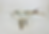 IMG_1736.jpeg