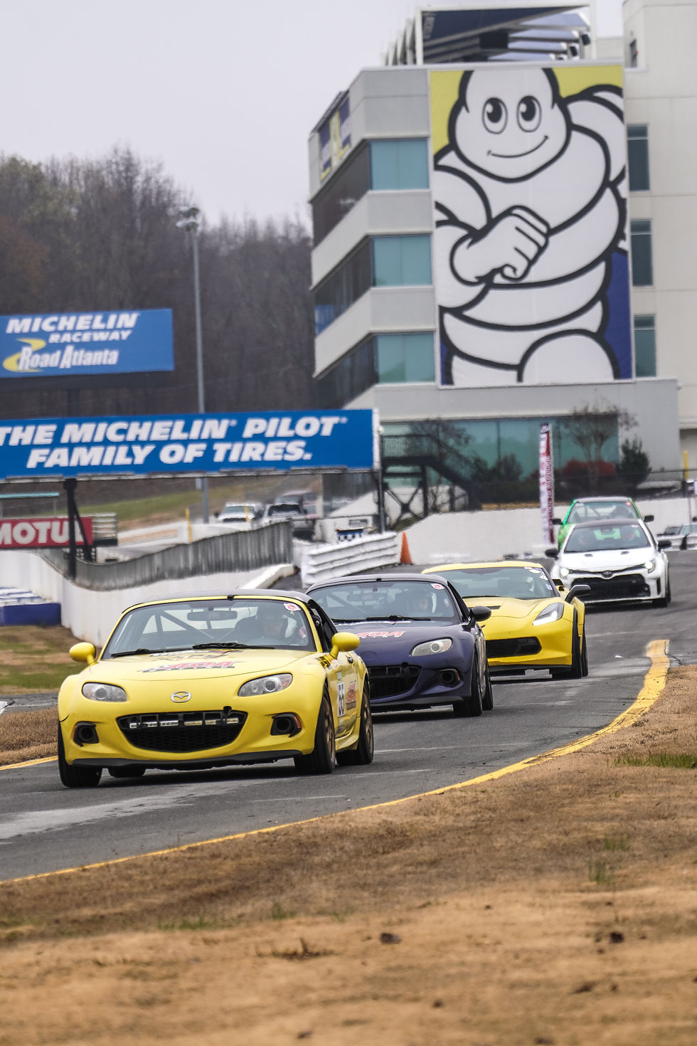 Georgia Invasion 2026