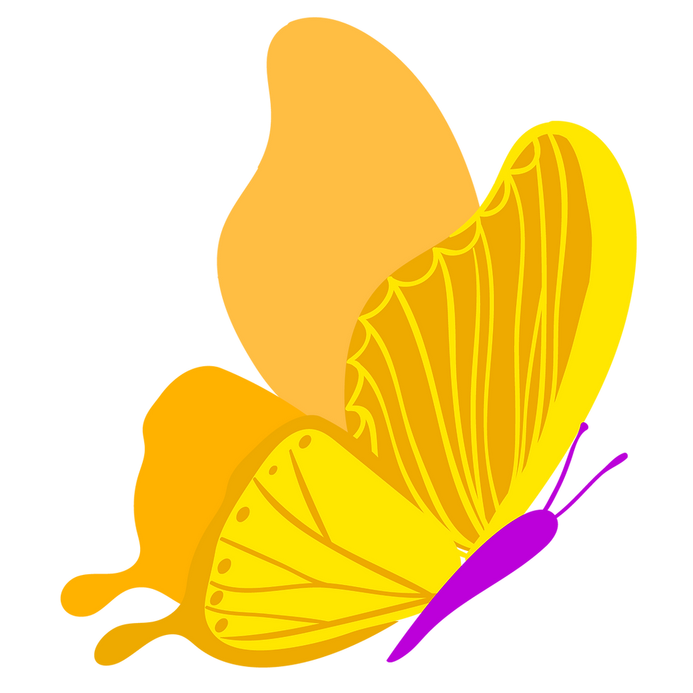 2 MARI_Mesa de trabajo 1.png