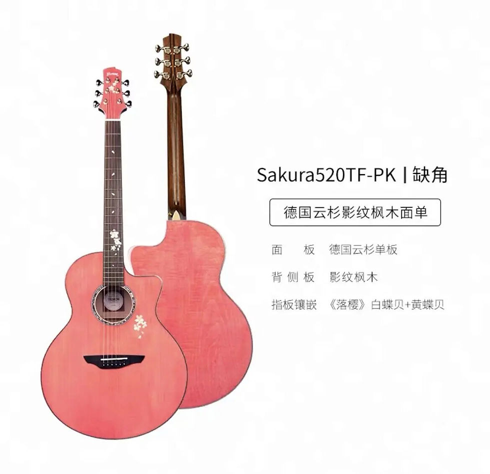 Pikkukuva: TRUMON 41 inch Guitar Acoustic With Bag