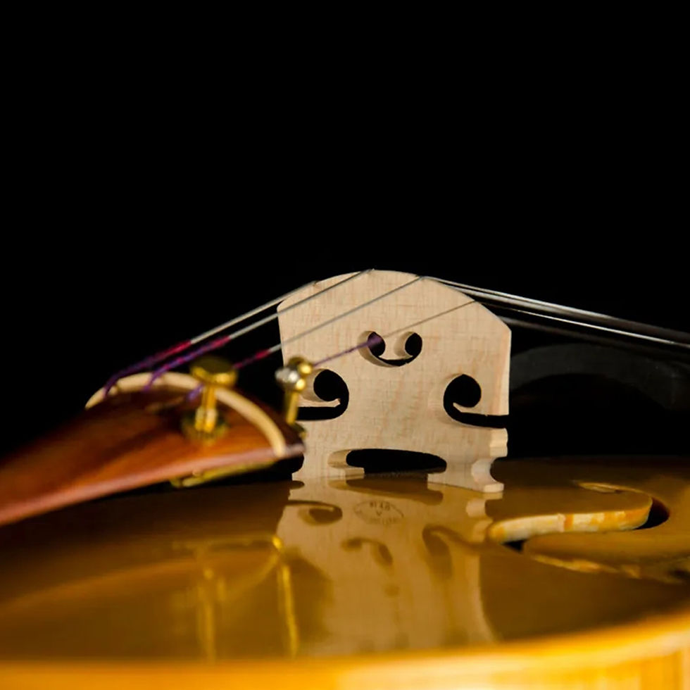 Miniatura: Italian craft V06W violin 4/4 professional-level test-level beginner 