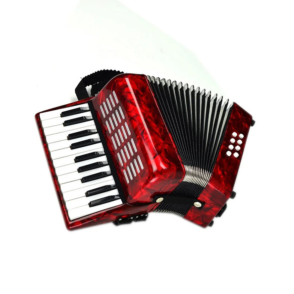 Miniaturebillede: Seasound OEM Cheap 22 Keys 8 Bass Student Piano Keyboard Accordion Instrument Ac
