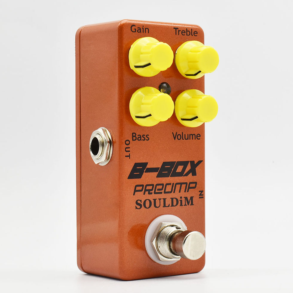 섬네일: SoulDiM Electric Guitar Pedal Noise Reduction/Spring Reverb/Analog delay/B-Box P