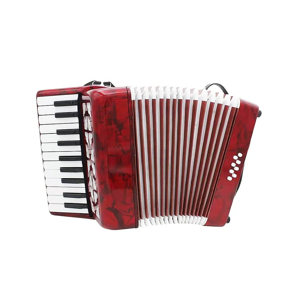 Miniaturebillede: Seasound OEM Cheap 22 Keys 8 Bass Student Piano Keyboard Accordion Instrument Ac