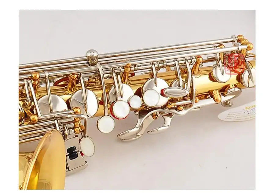 Miniatura: High Quality Super Action Conn-Selmer AS500 Saxophone Gold silvering key Alto Fu
