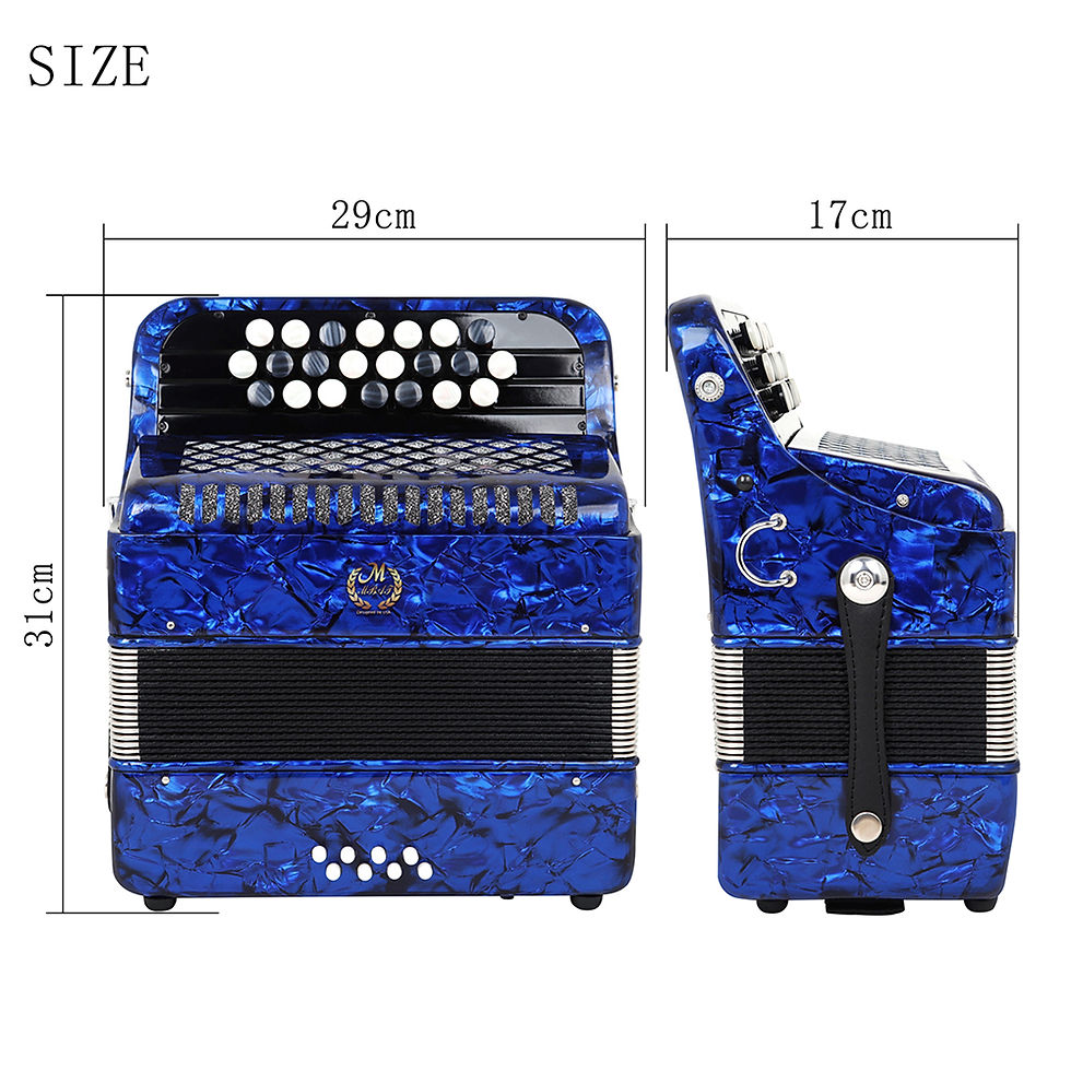 Miniatura: 22 Key 8 Bass Accordion With Strap Bag Professional Keyboard Instrument Hand Pia