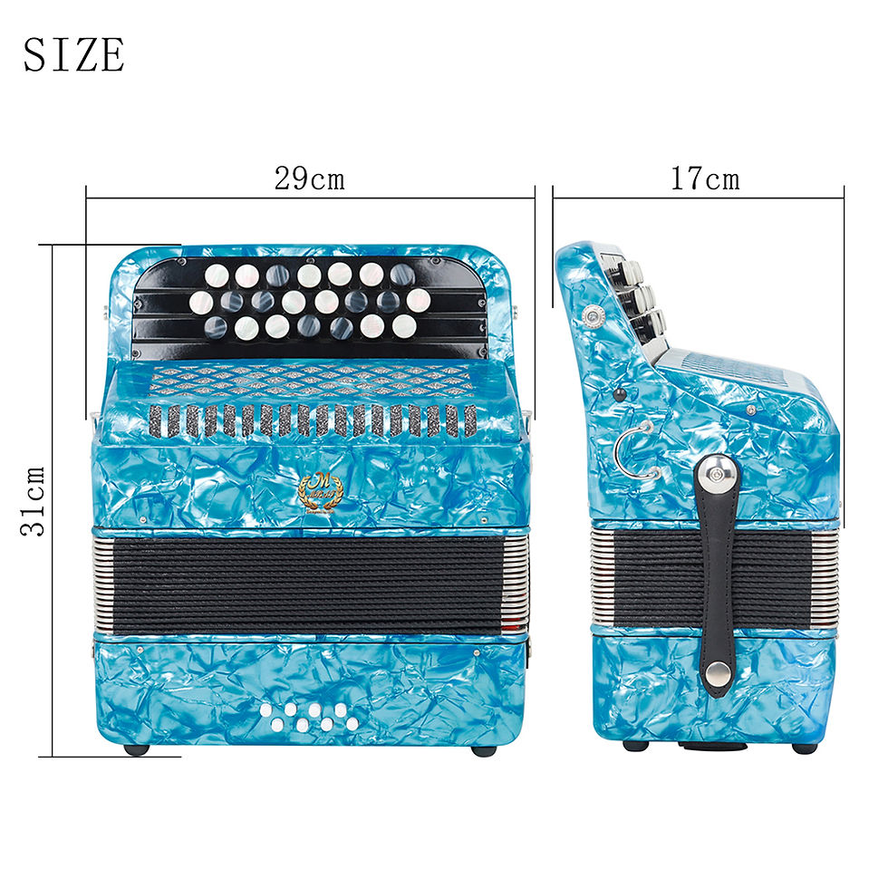 Miniatura: 22 Key 8 Bass Accordion With Strap Bag Professional Keyboard Instrument Hand Pia