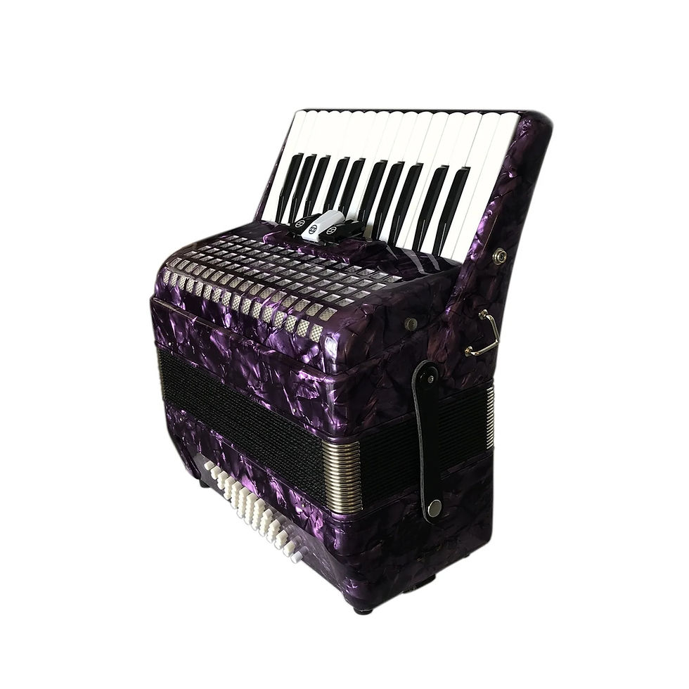 Thumbnail: SEASOUND OEM Hot Sale Piano Keyboard Accordion Instrument Acordeon JP2648