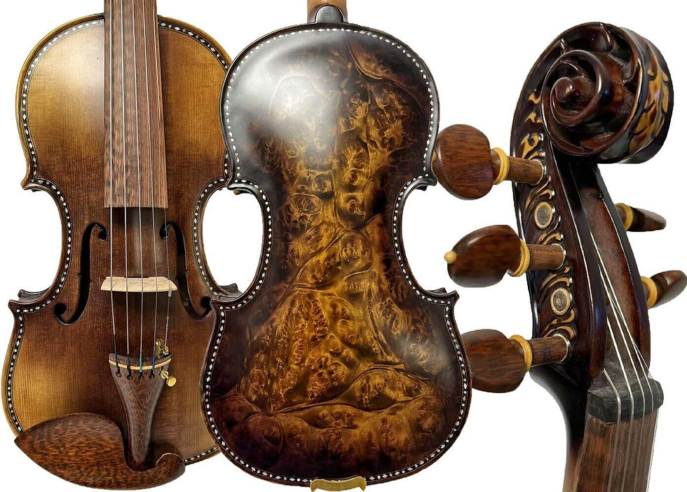 Miniatura: SONG Master 5 strings 4/4 Violin,Bird's eye Maple wood,Carved rib neck#15553