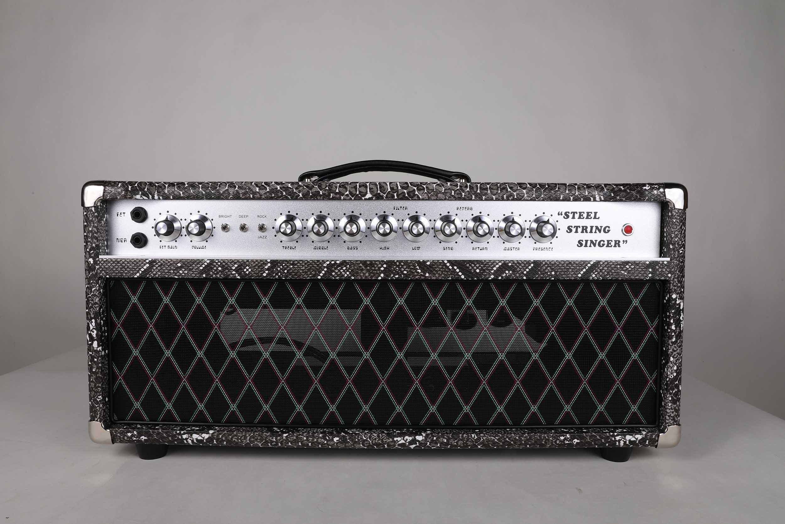 Custom SSS Steel String Singer Tone Deluxe Handwired Guitar Amp Head 100W with I