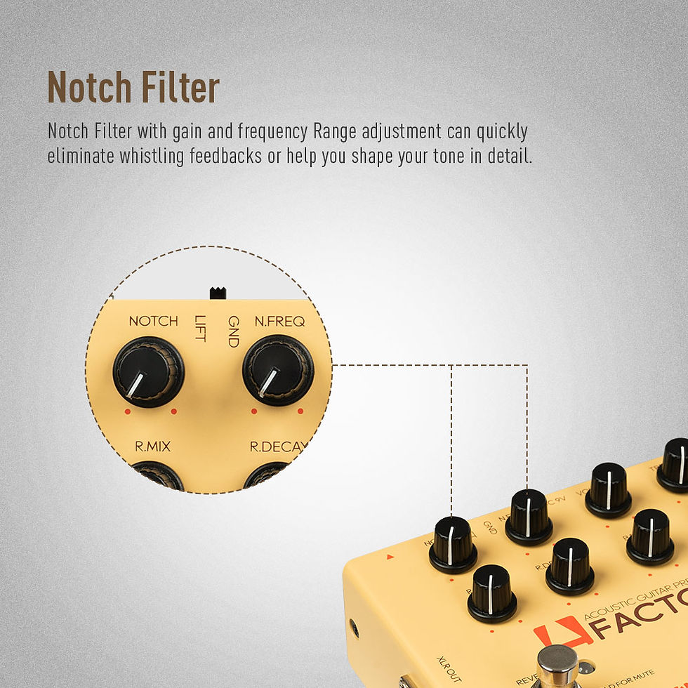 Thumbnail: SONICAKE A Factory Analog Preamp and digital Reverb Dual footswitch guitar effec