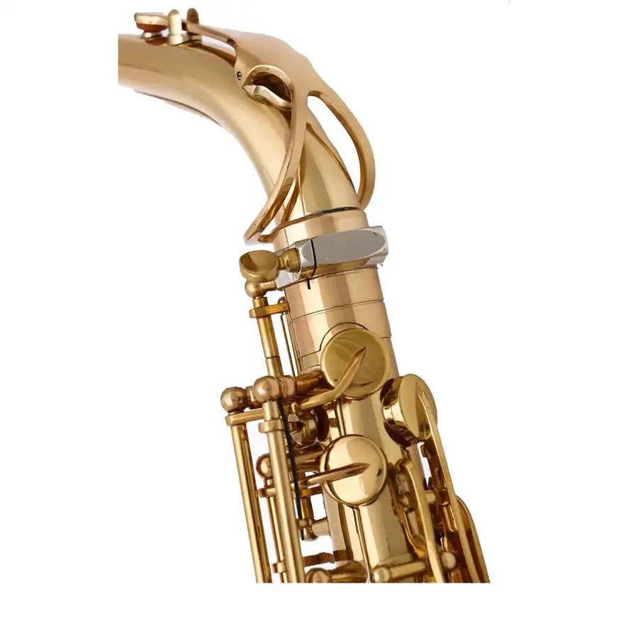Miniatura: SEASOUND OEM Professional 875 Style Gold Alto Saxophone JYAS102Y75