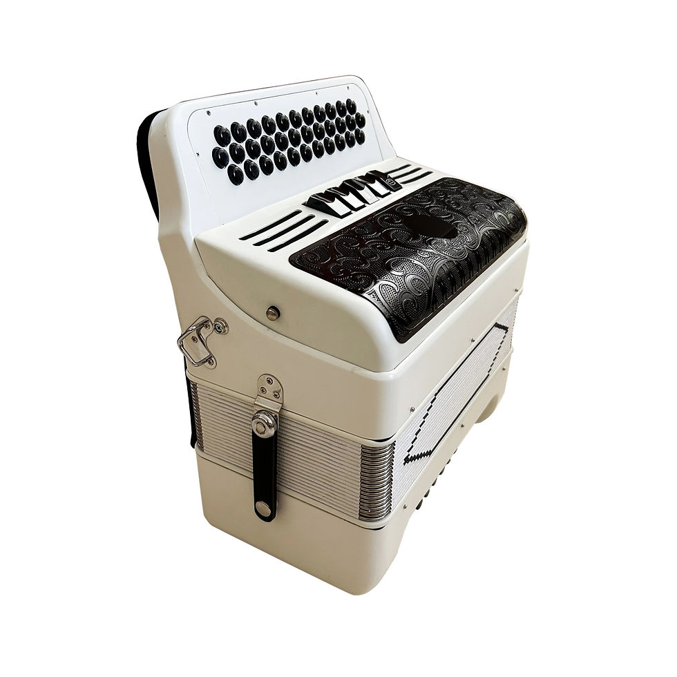 Miniatura: SEASOUND OEM 34 Buttons 12 Bass 5 Registers Matt White Accordion Instrument Blac