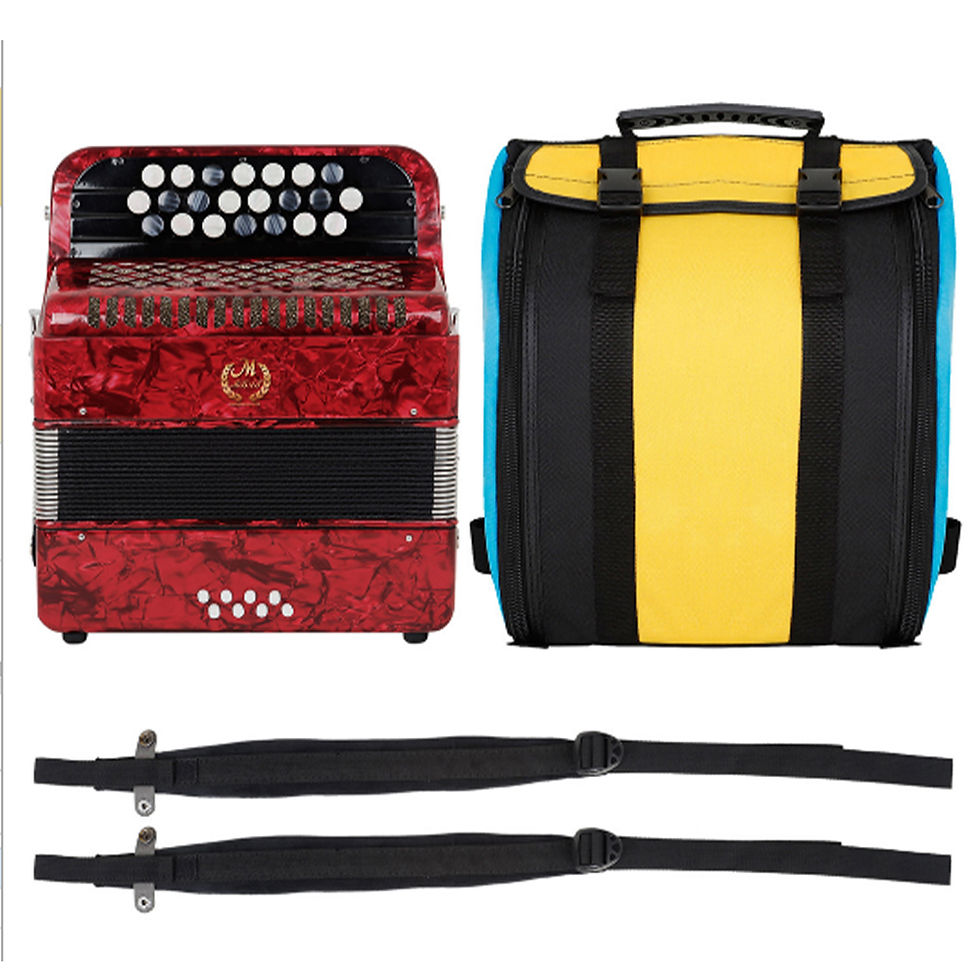 Miniatura: 22 Key 8 Bass Accordion With Strap Bag Professional Keyboard Instrument Hand Pia