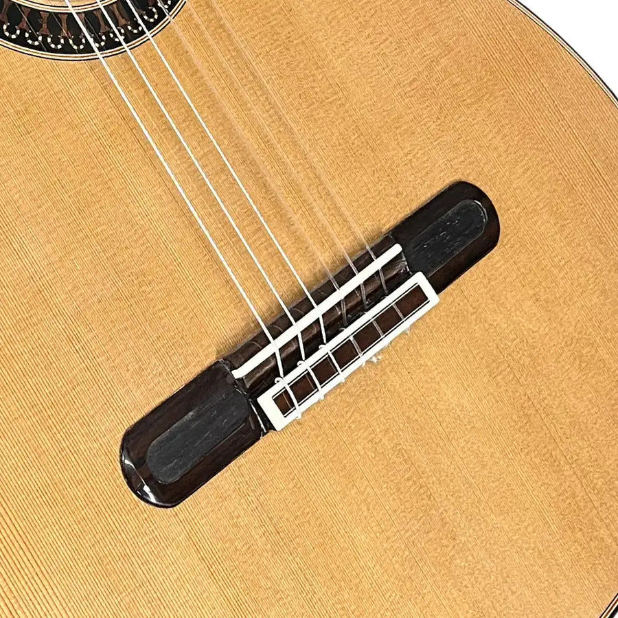 Μικρογραφία: YULONG GUO handmade Double Top Nylon string Philharmonic concert Guitar all body