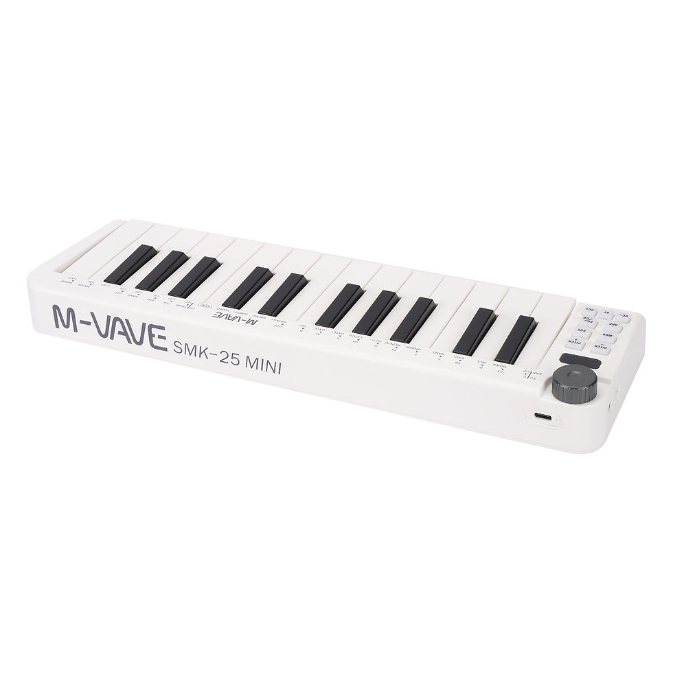 섬네일: Professional Digital Electronic Piano Usb 25 Key