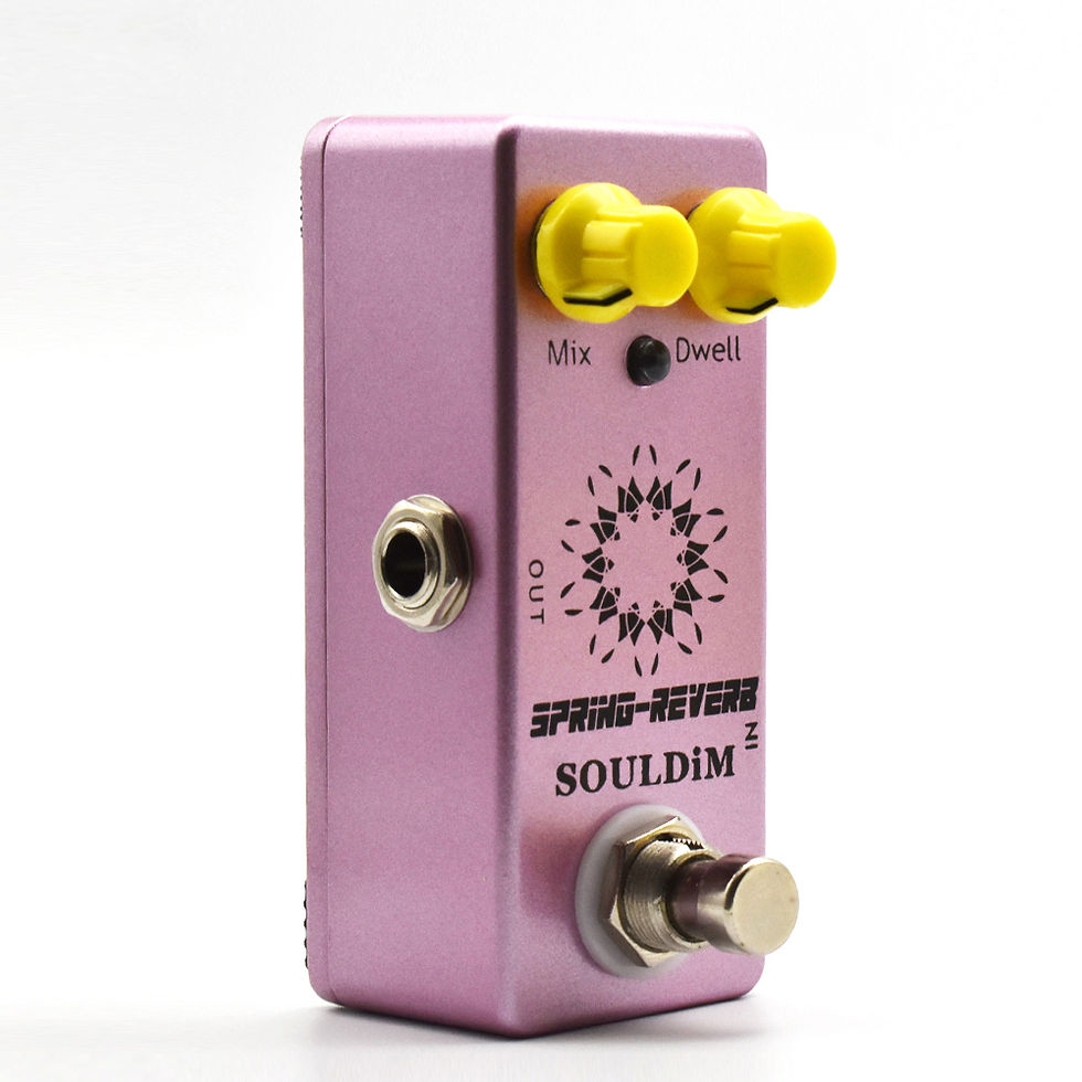 섬네일: SoulDiM Electric Guitar Pedal Noise Reduction/Spring Reverb/Analog delay/B-Box P