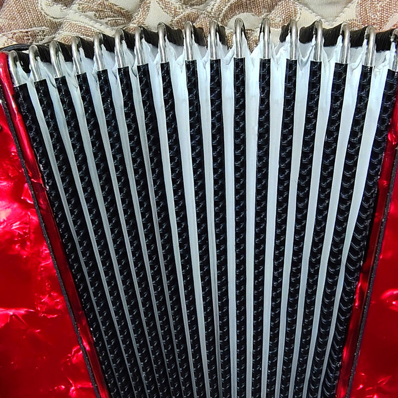 Miniatura: Beginner Accordion 8 Bass 22 Keys Children Adult Middle-aged and Elderly Entry P