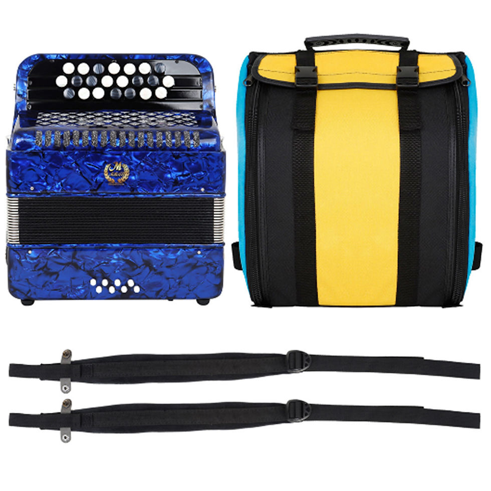 Miniatura: 22 Key 8 Bass Accordion With Strap Bag Professional Keyboard Instrument Hand Pia