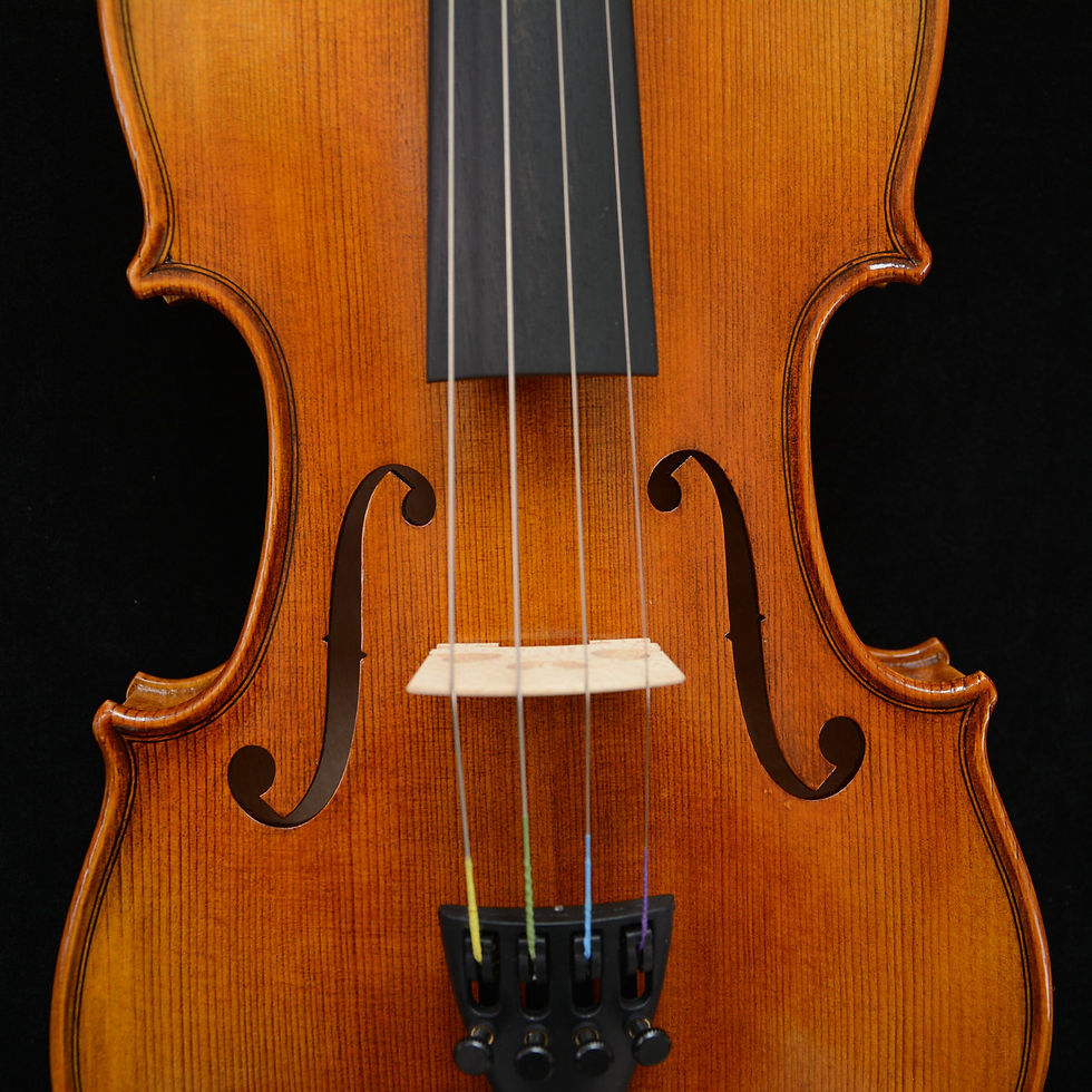 Miniatura: Actual Photo Awesome 1/2 Violin 1-PC Back Awesome Sound Master Level