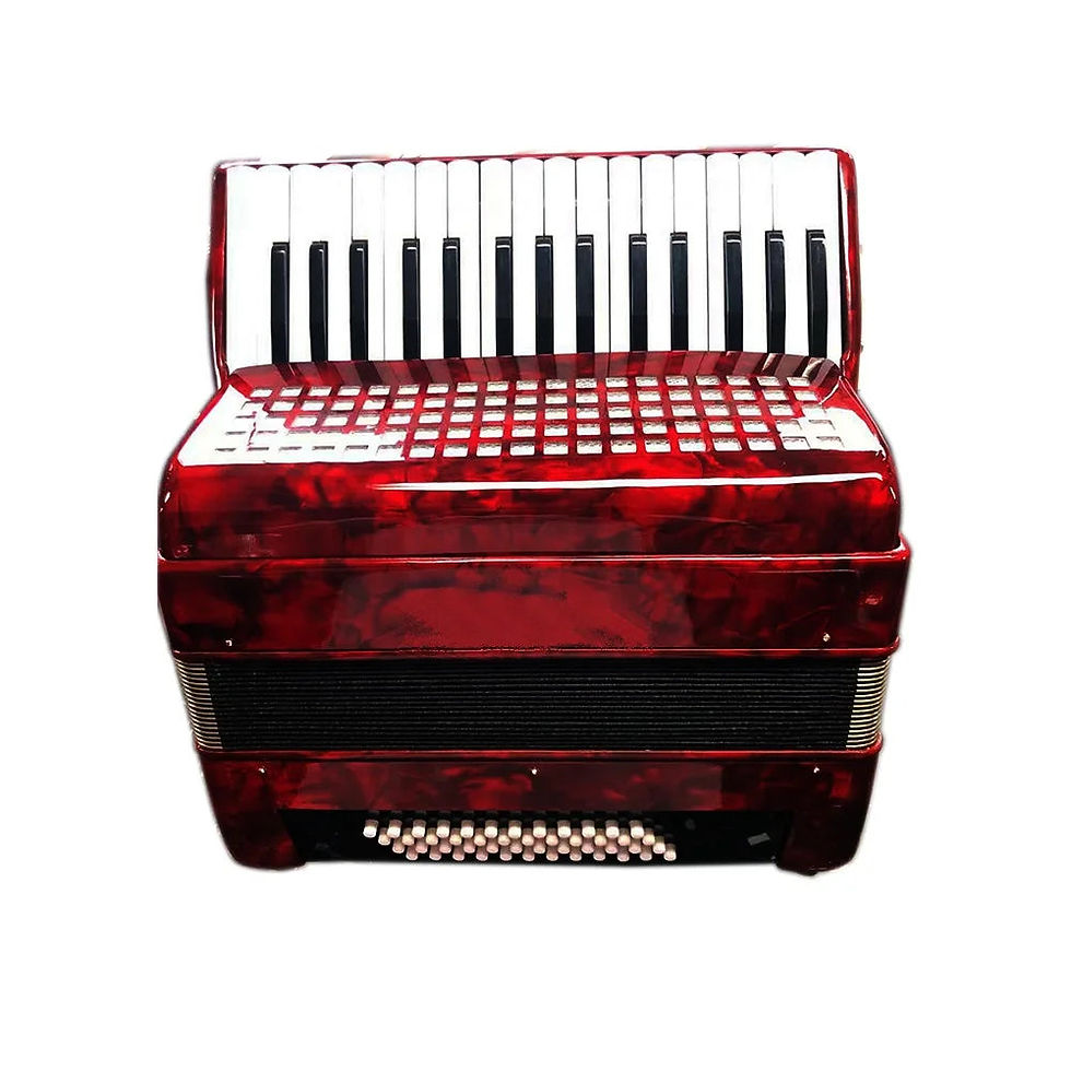 Miniatura: SEASOUND OEM 32 Keys 48 Bass Piano Keyboard Accordion Instrument Acordeon JP3248