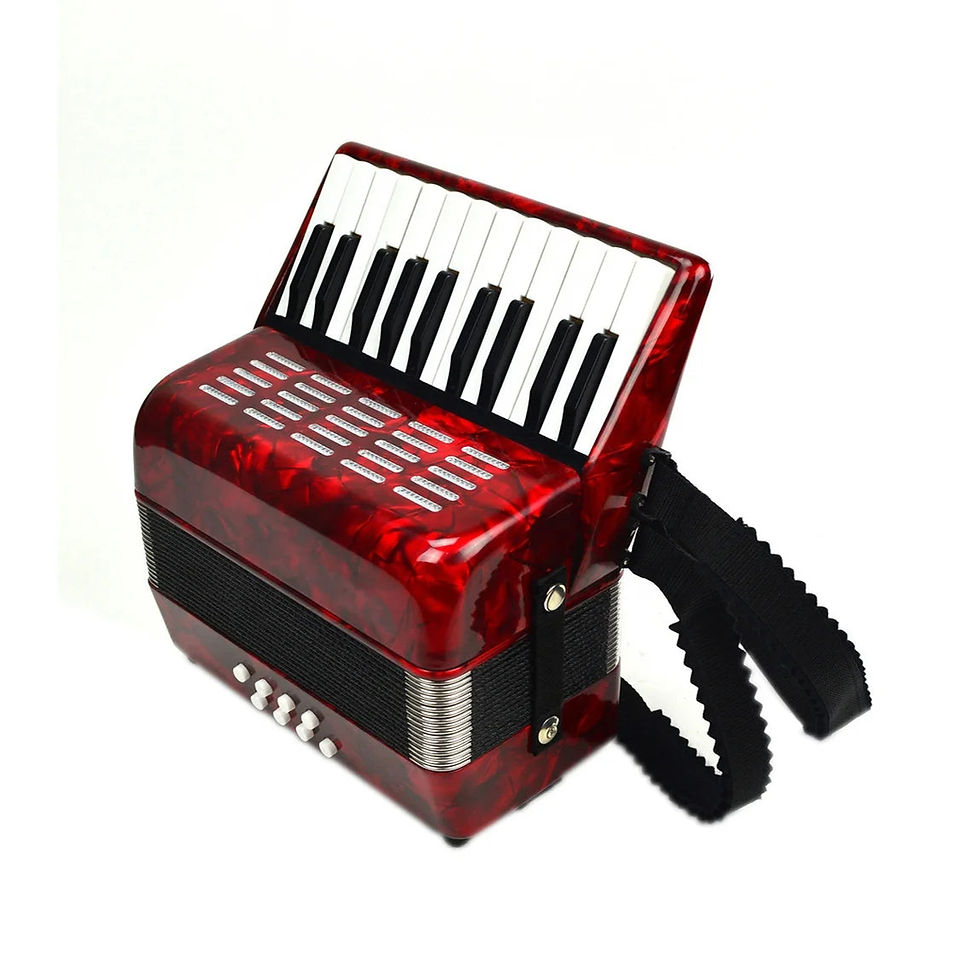 Miniaturebillede: Seasound OEM Cheap 22 Keys 8 Bass Student Piano Keyboard Accordion Instrument Ac