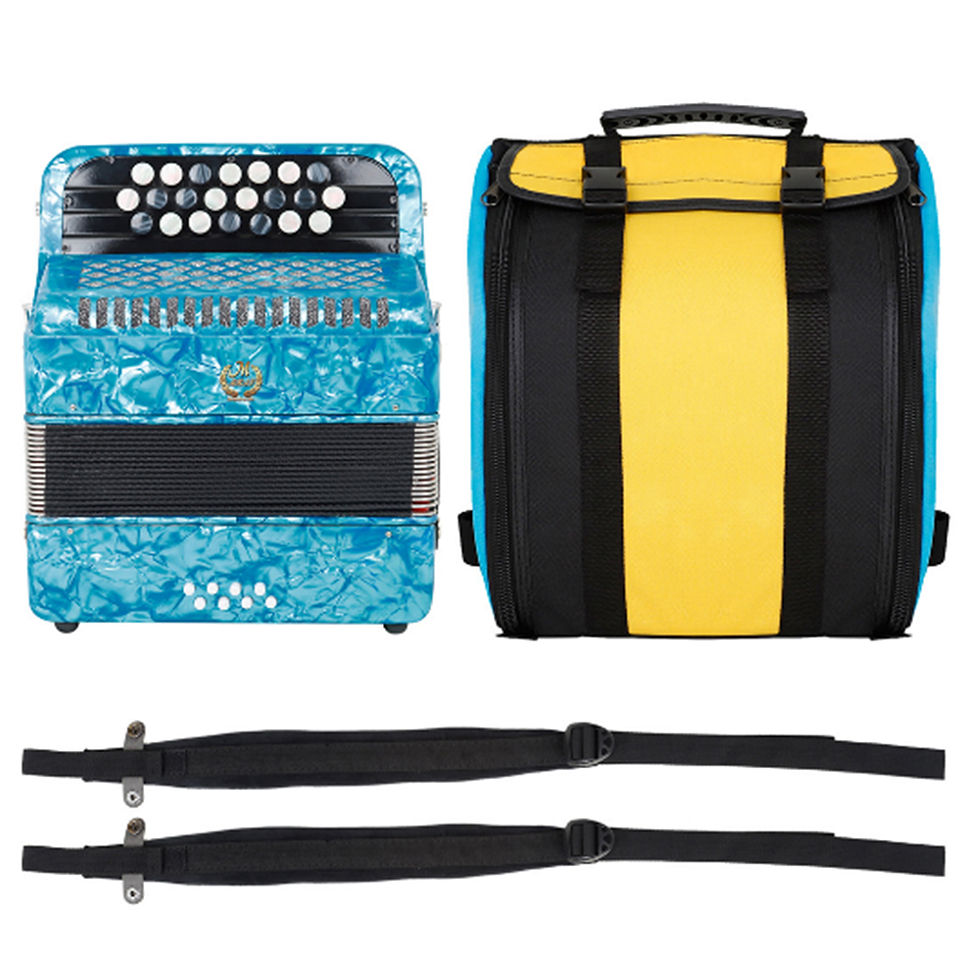 Miniatura: 22 Key 8 Bass Accordion With Strap Bag Professional Keyboard Instrument Hand Pia