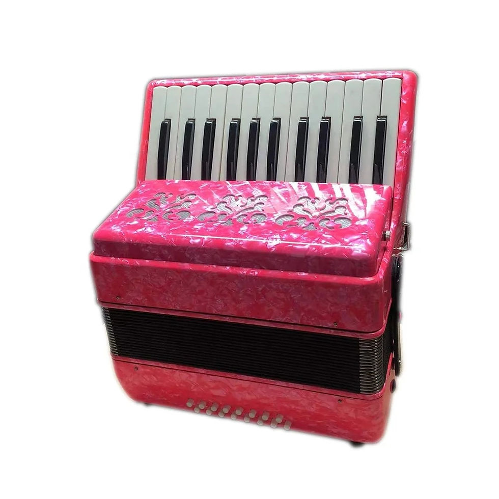 섬네일: SEASOUND OEM 25 Keys 16 Bass Piano Keyboard Accordion Instrument Acordeon JP2516