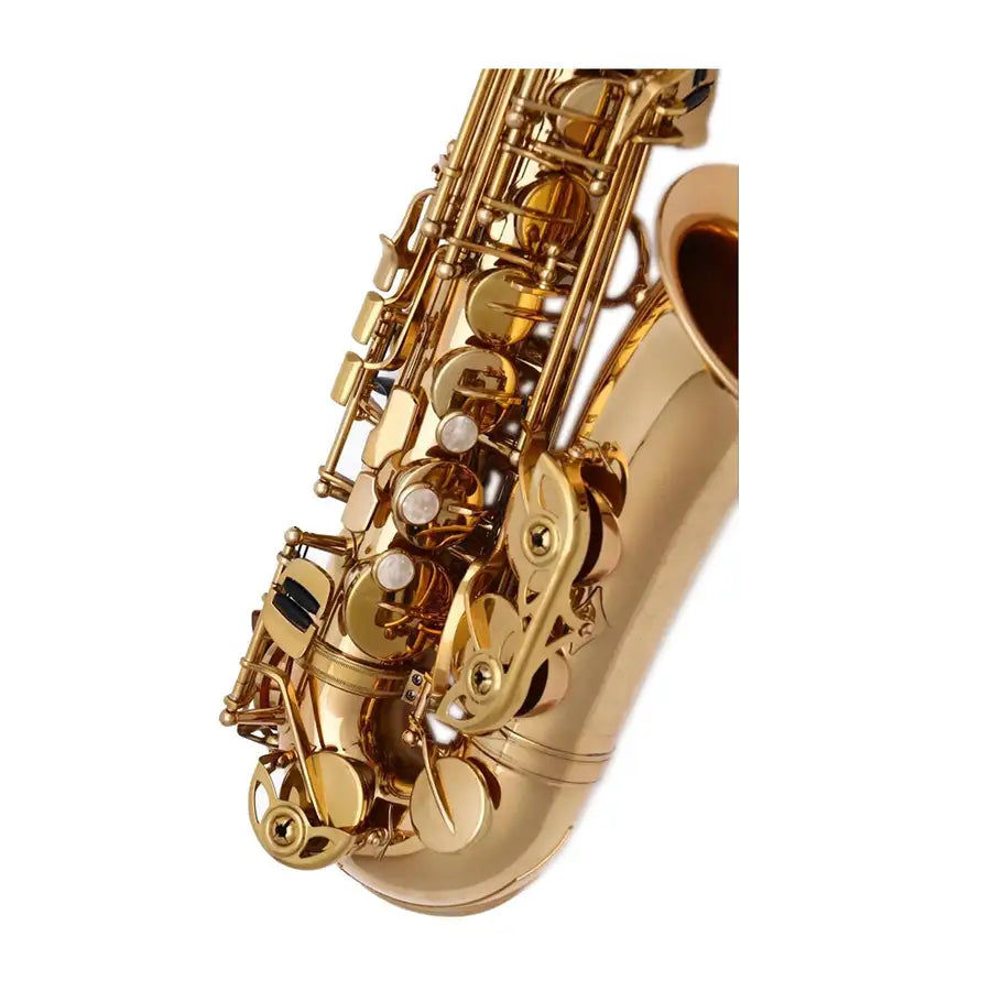 Miniatura: SEASOUND OEM Professional 875 Style Gold Alto Saxophone JYAS102Y75