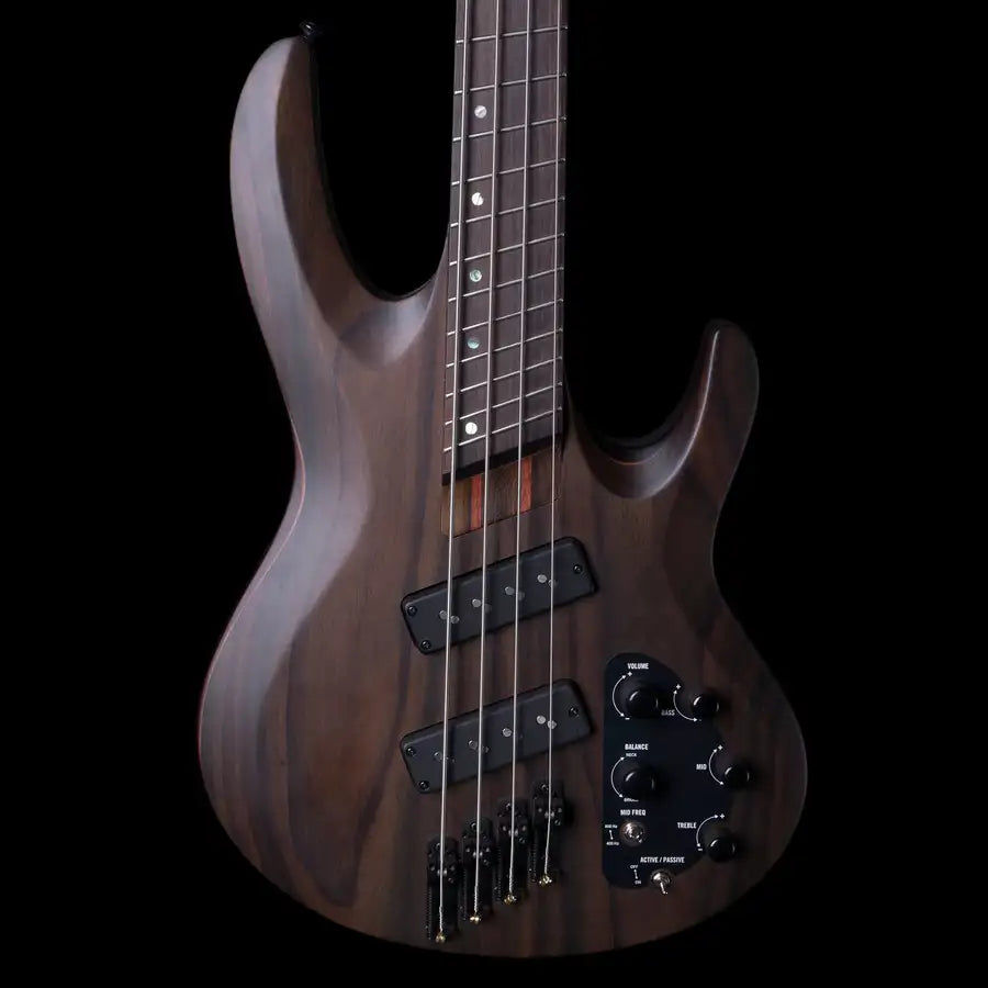 Thumbnail: ESP LTD B-1004SE Multi-Scale Electric Bass