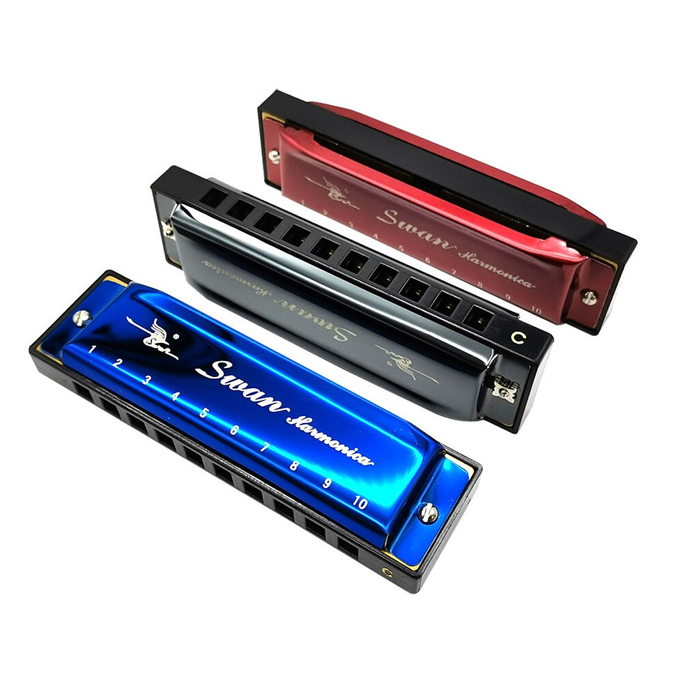 Thumbnail: 10 Holes Blues Harmonica Diatonic Gift Mouth  Available in Three Colors