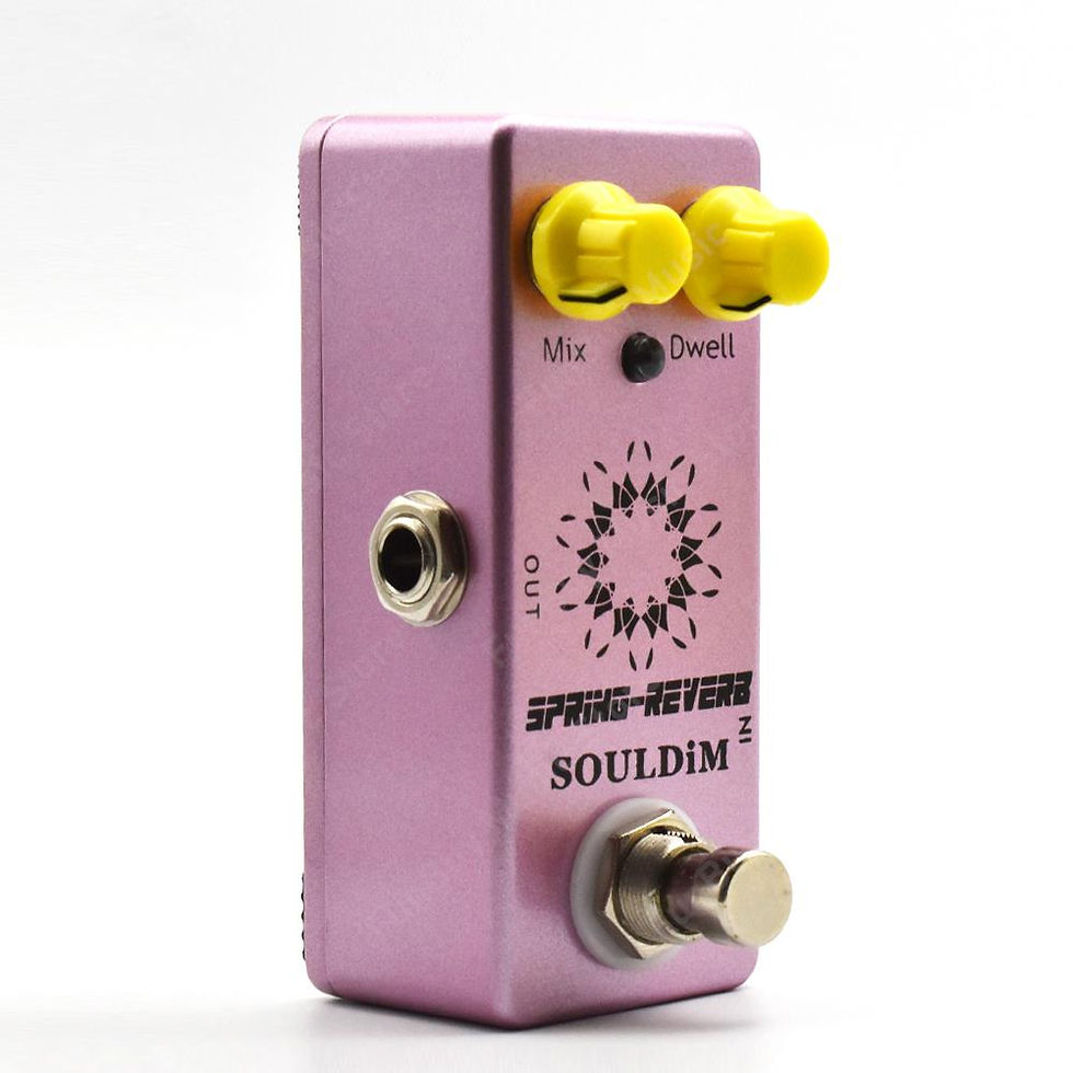 섬네일: SoulDiM Electric Guitar Pedal Noise Reduction/Spring Reverb/Analog delay/B-Box P