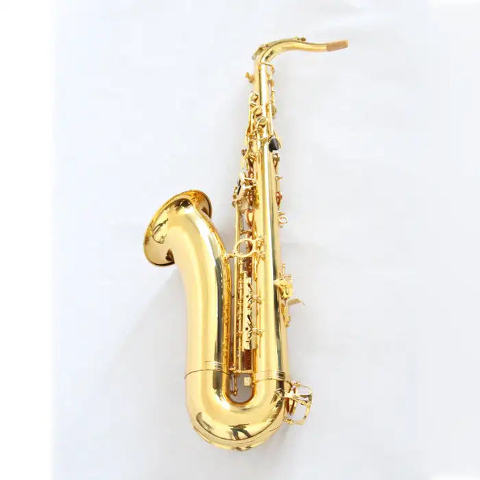 Μικρογραφία: Gold Lacquer Cheap Price Tenor Saxophone Professional