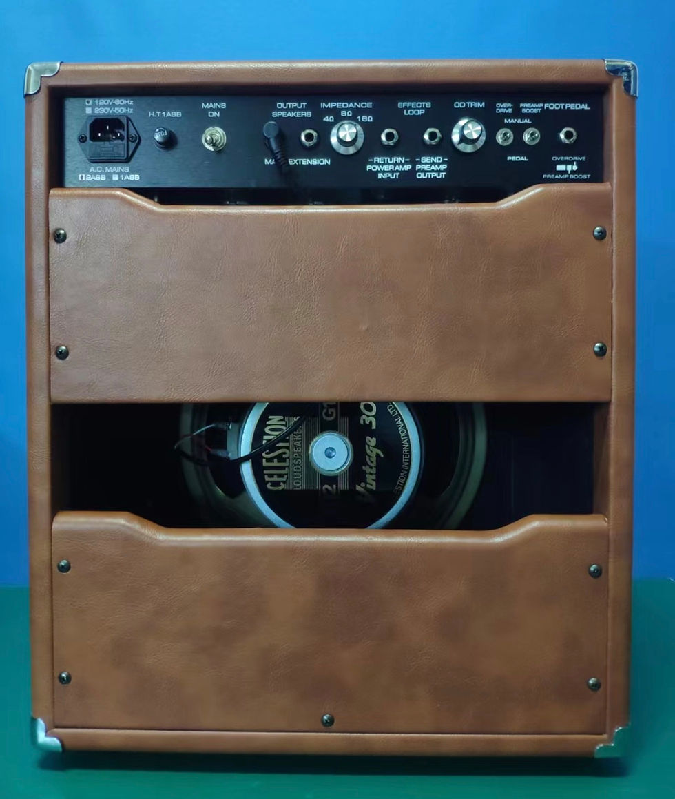 Miniatura: Chinese Made Amplifier OTS Overdrive Special Combo By GRANDAMPS Vox Grill Cloth 